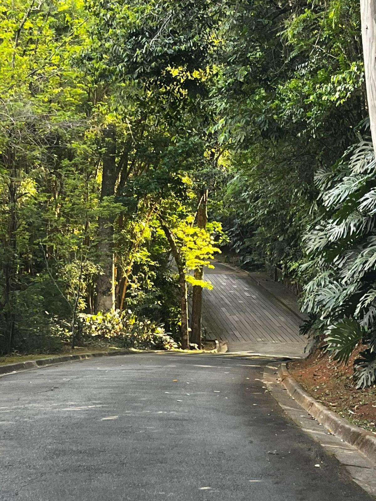 Maravilhoso Studio - Granja Brasil Itaipava Petrópolis 외부 사진